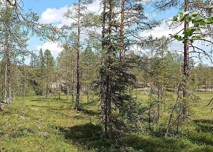 Smia , A Unique Rustic Hideaway Lii