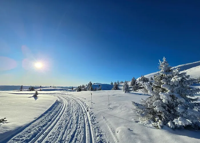 Smia , A Unique Rustic Hideaway Semesterbostad *