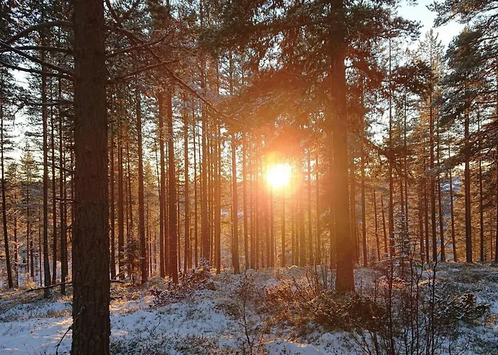 بيت للعطل Smia , A Unique Rustic Hideaway *